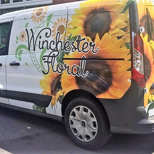 Van Graphics and Wraps